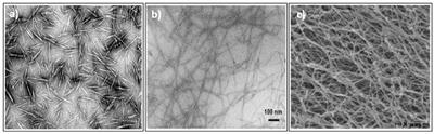 Nanocellulose Reinforced Thermoplastic Starch (TPS), Polylactic Acid (PLA), and Polybutylene Succinate (PBS) for <mark class="highlighted">Food Packaging</mark> Applications